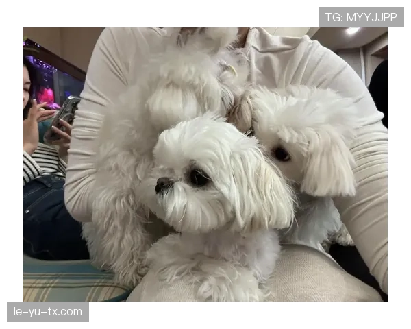 马尔基斯·基多退役转型，开启人生新篇章