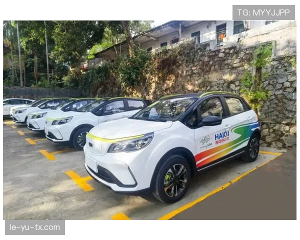 兰斯聚焦可持续发展与科技创新，战略转型成效初显引关注