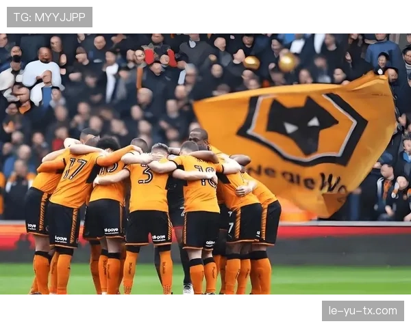 布莱顿球迷集体发声抗议俱乐部管理层决策，引发广泛关注