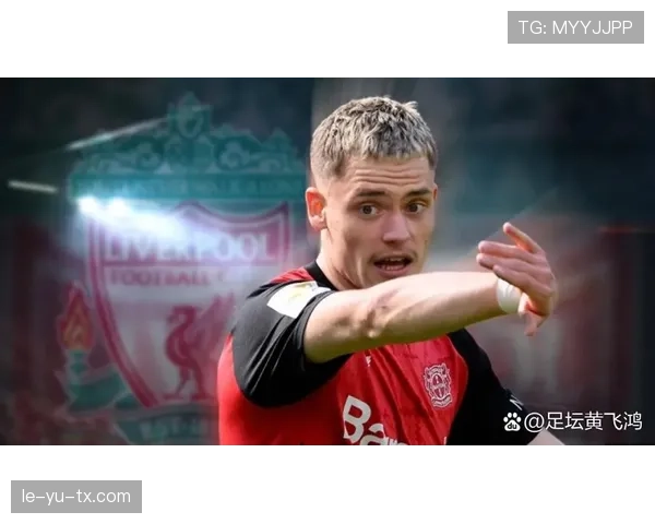 维尔茨德甲不败夺冠核心：生涯巅峰解析